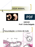 Embriologia Animal