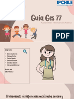Guia Ges 77