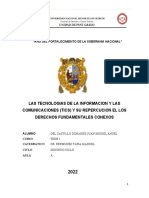 Las Tecnologias de La Informacion y Las Comunicaciones (Tics) y Su Repercucion El Los Derechos Fundamentales Conexos - Tesis I