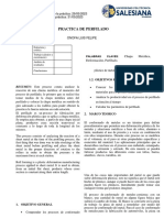 Informe Perfilado Grupo 21