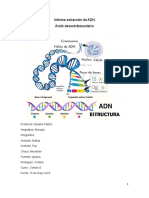 Informe Biologia