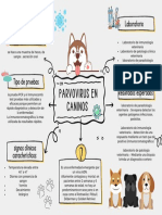 Parvovirus en Caninos, Tarea