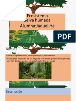 Exposicion Ecologia Jaqui