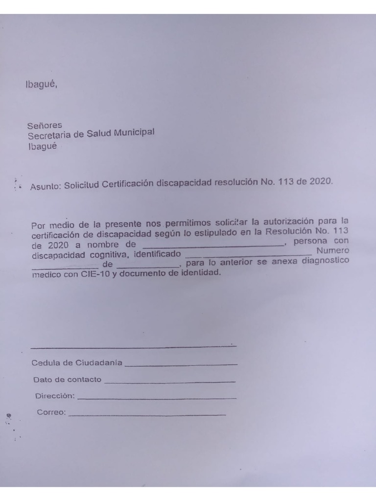 Formato Discapacidad PDF