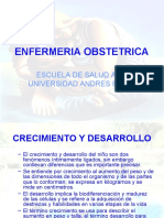 Enfermería Obstétrica