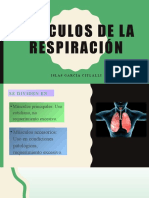 Musculos de La Respiracion Cit