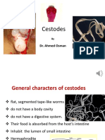 1st Lecture - Cestodes - Clinical Parasitology