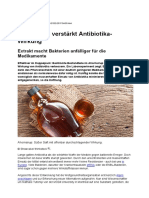 Ahornsirup verstärkt Antibiotika-Wirkung