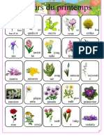 Documents Élèves-Projet Jardin-Vocabulaire-Les Fleurs Du Printemps-Imagier