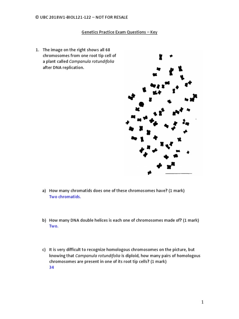 Exam1 Practice 1 With Answers Genetics Practice Name
