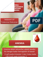 PP BD Delpianti