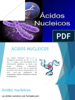 Acidos Nucleicos