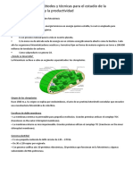 Tema 16 - Métodos y Técnicas El Estudio de La Fotosintesis y Productividad