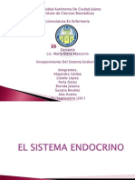 Envejecimiento Del Sistema Endocrino Perla