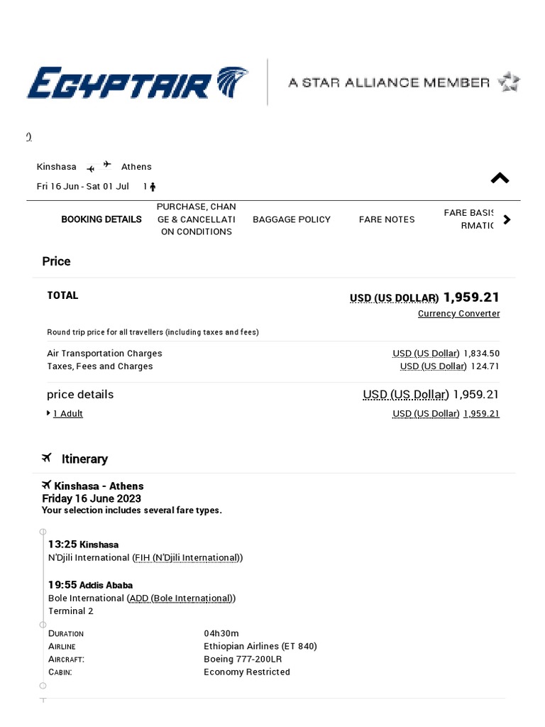 EGYPTAIR Additional Traveller Information PDF Baggage Oxygen