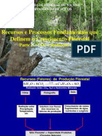 Dinamica Do Crescimento Florestal - Recursos e Processos - Parte I (CO2 e Radiacao Solar)