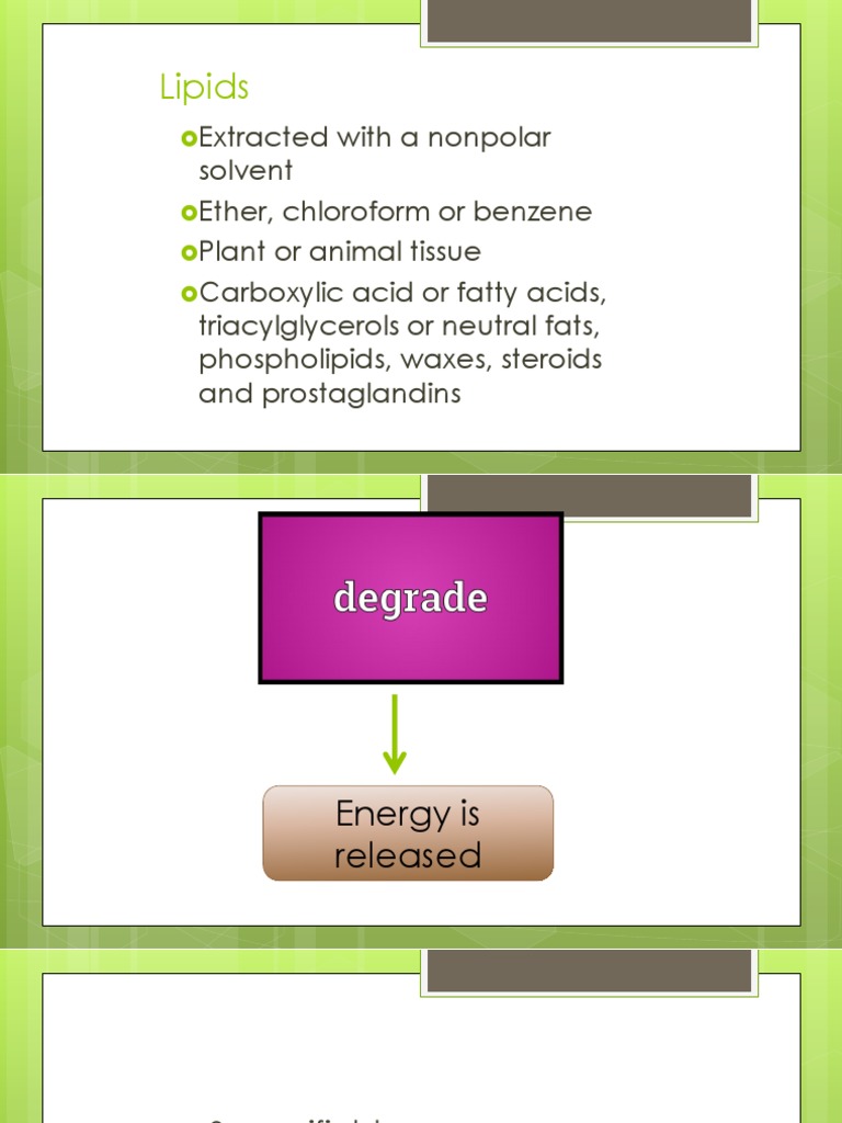 Lipids PDF Wax Cholesterol