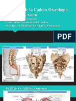 Musculatura de Cadera