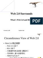 Web 2.0 Surrounds