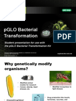 PGLO Bacterial Transformation Kit Presentation