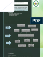 Proyecto Socioformativo-4