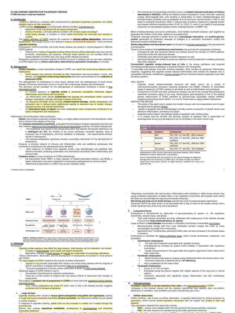 COPD Pathogenesis and Pathology | PDF | Chronic Obstructive Pulmonary ...