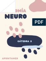 Compliado Neuroanato