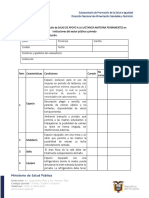 Check List de Implementación de SALM PERMANENTES en Instituciones Del Sector Público y Privado