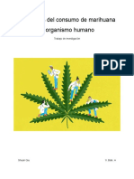 Efectos Del Consumo de Marihuana Al Organismo Humano