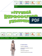 Sistema Reprodutor HUMANO