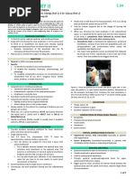 2.4 Regional Anesthesia