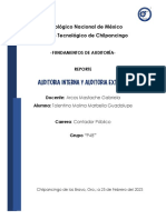 Auditoria Interna y Extern