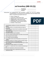 Maslach Burnout Inventory GS (S)