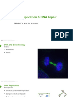 12 Advanced DNAReplication DNARepair