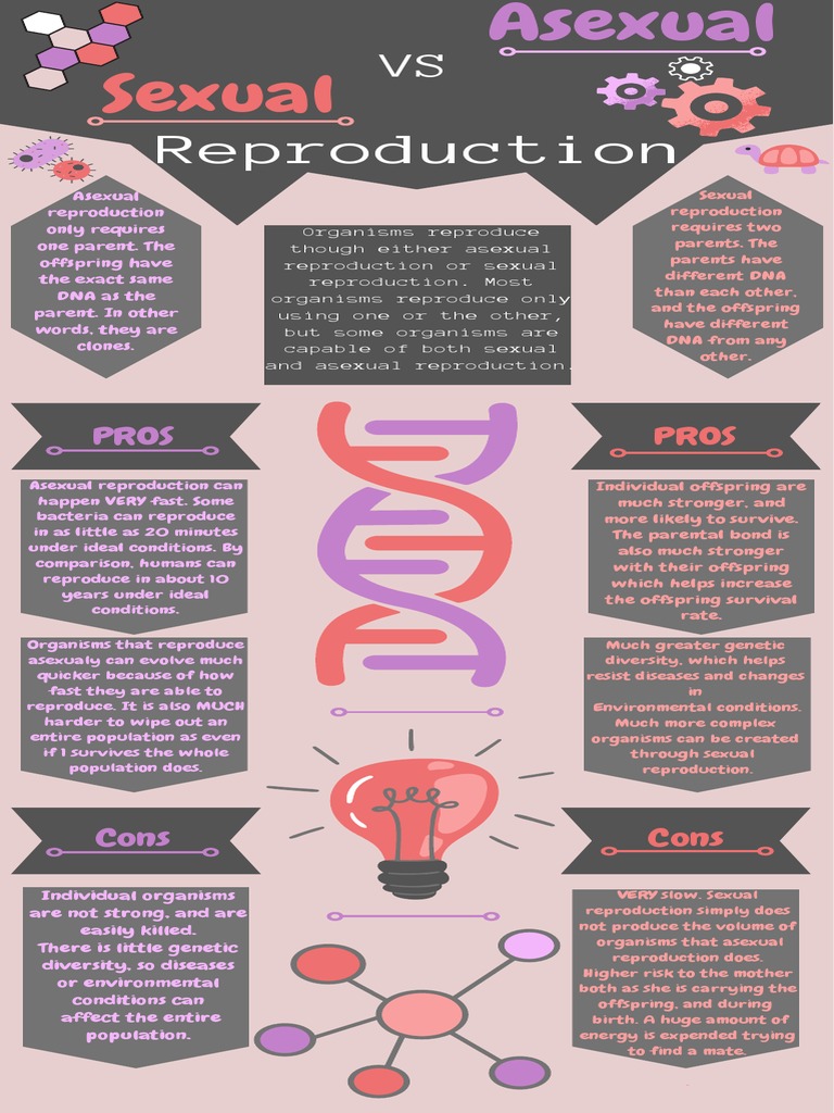 Asexual | PDF | Reproduction | Organisms