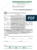 Formato de Solicitud de Matrimonio Civil PDF