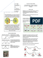 Resumo 9 - Evolução II - Origem Da Vida