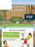 How Do We Use Plants