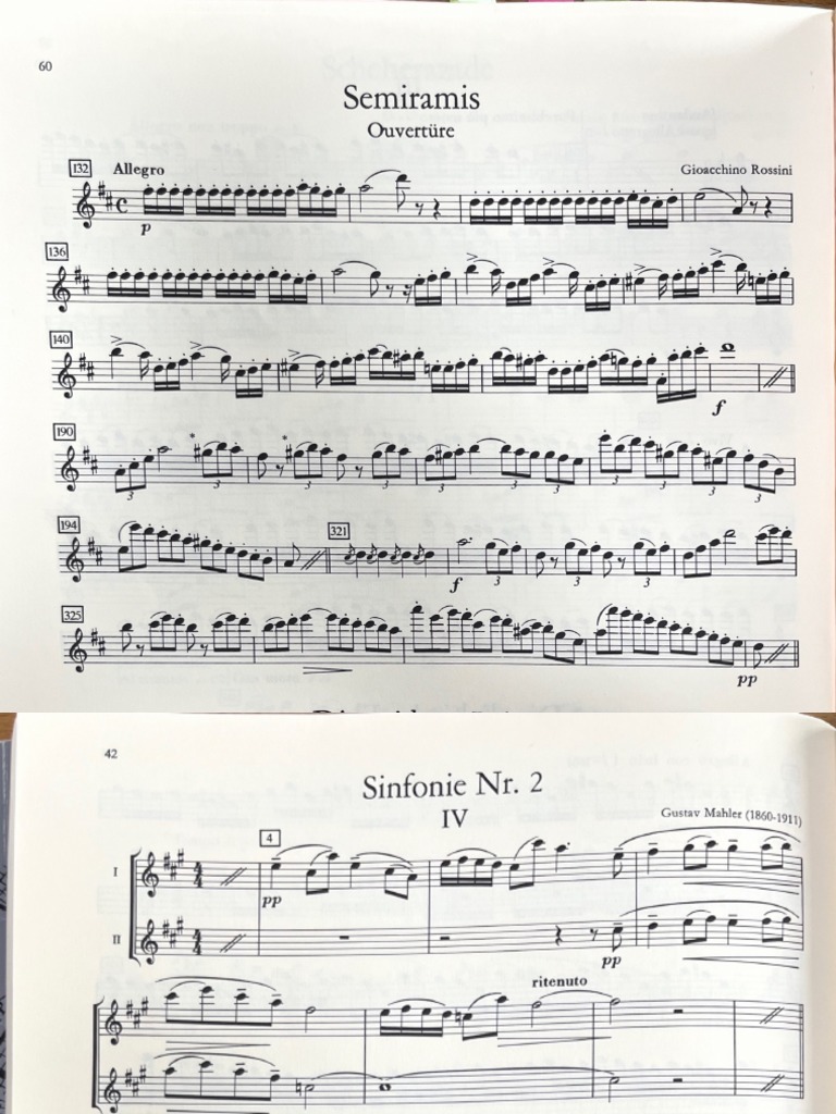 Excerpts For Piccolo PDF