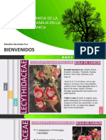 Diapositivas Familia Botánica