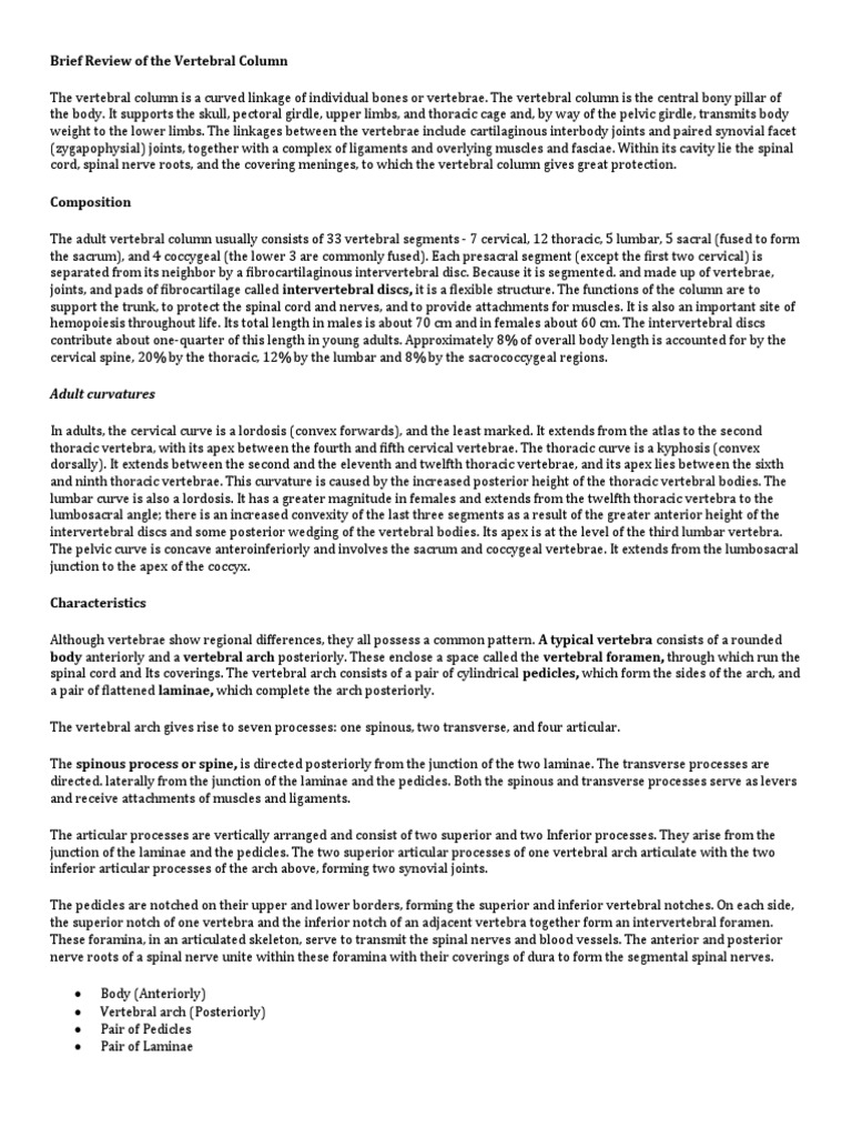 Anatomy visual data 3