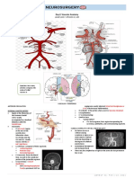 Day 2-Vascular Anatomy 4A