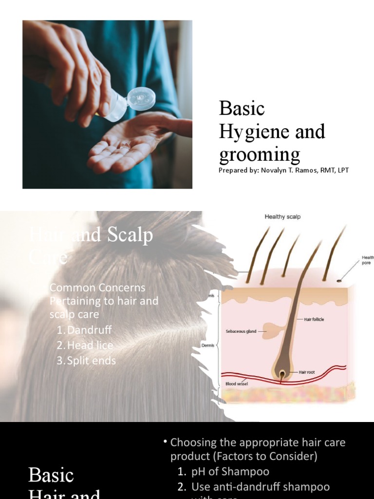 Understanding Work Immersion PDF