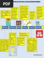 Linea Del Tiempo Latin Al Castellano