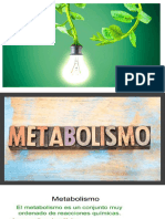 Unidad 4 Energetica - Metabolismo - 081830