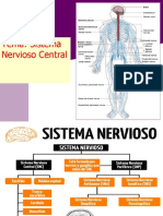 Tema Sistema - Nervioso Central Ok