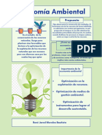 Economia Ambiental