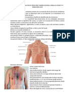 Semiologia y Exploración Torax Resp