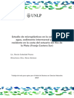 Tesis Doctoral-2021-Estudio de MP en Ahua de Estuario de Rio de La Plata