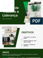 Slide - Aula 02 - Grupos de Trabalho e Liderança